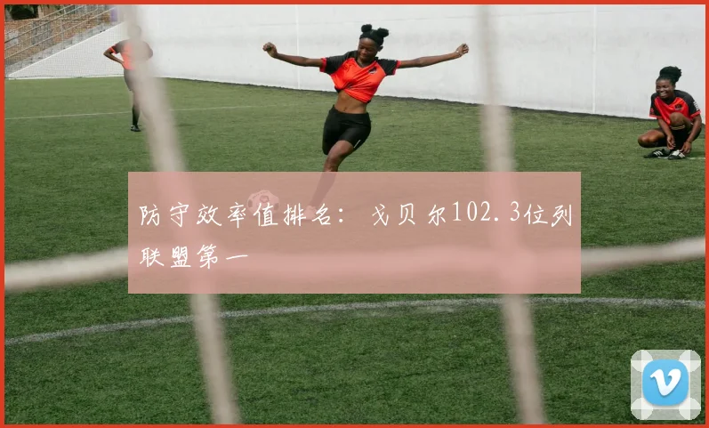 防守效率值排名：戈贝尔102.3位列联盟第一